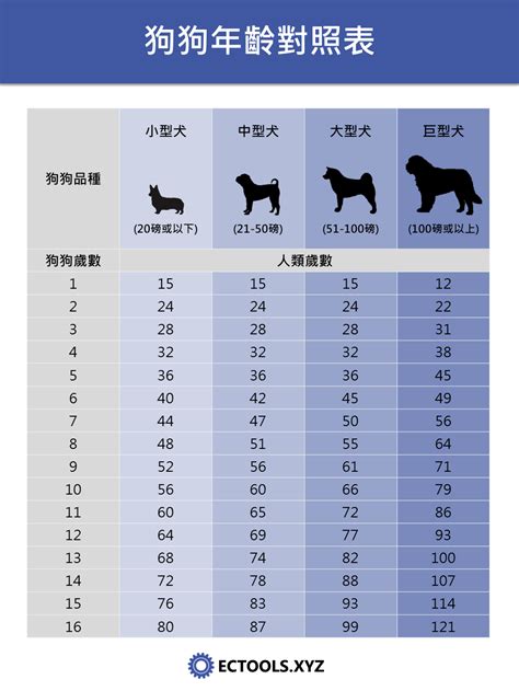 寵物年齡查詢|狗貓年紀對照表 